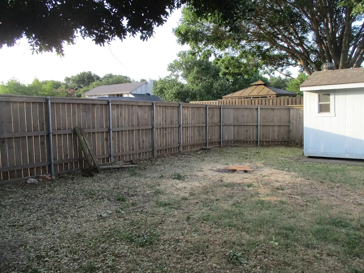 Cleared yard after professional tree removal in Bahama